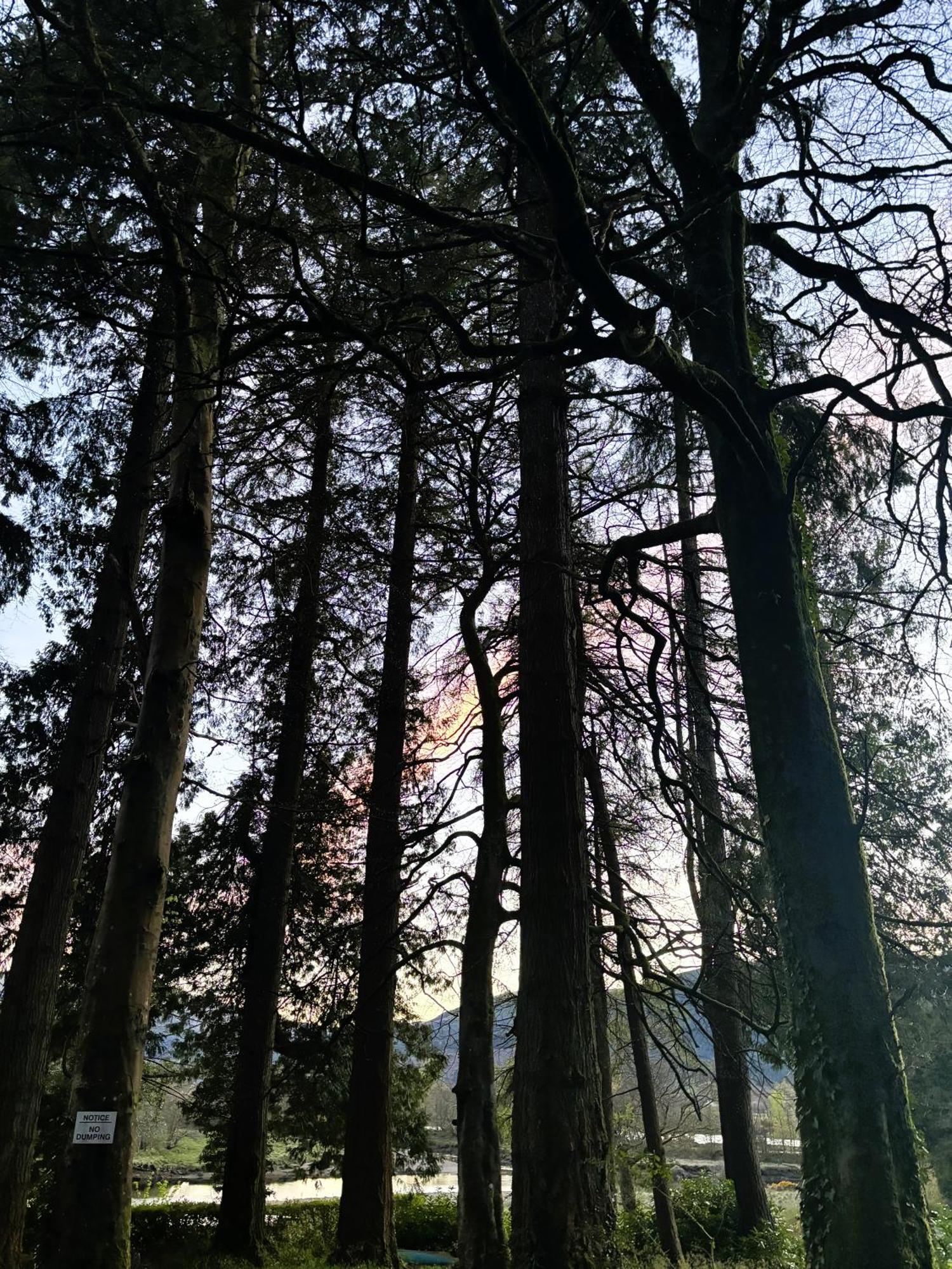 North Lodge Kilmun Bagian luar foto