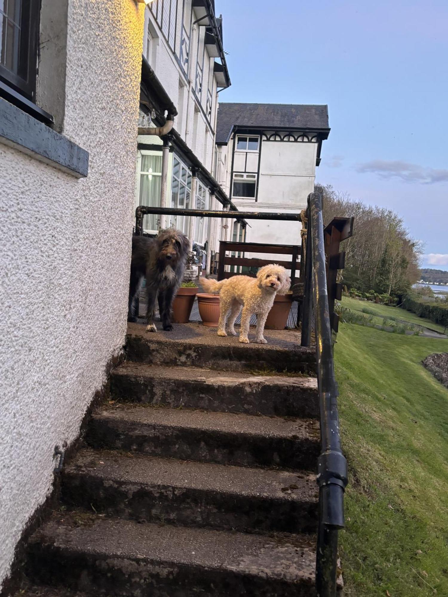 North Lodge Kilmun Bagian luar foto
