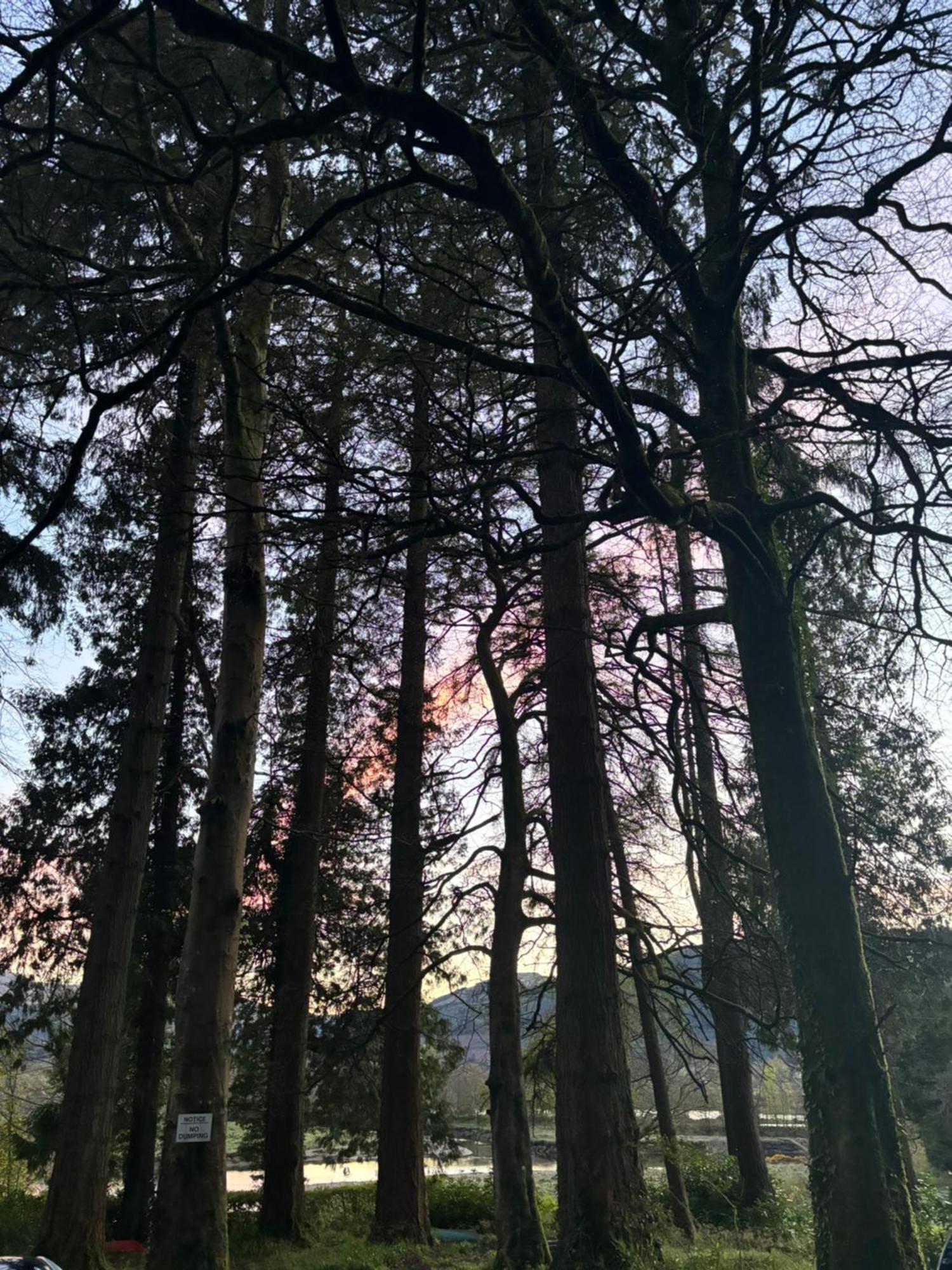 North Lodge Kilmun Bagian luar foto