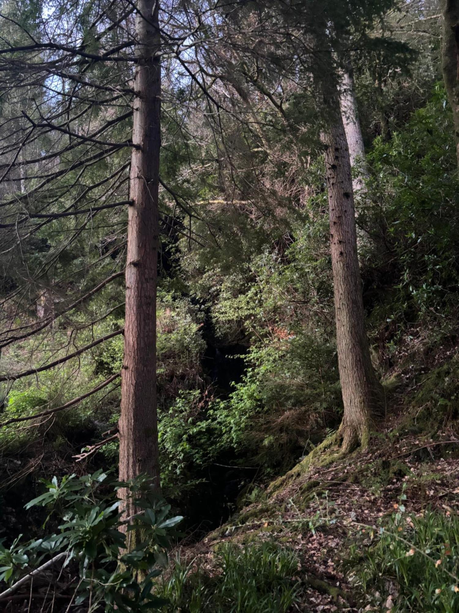 North Lodge Kilmun Bagian luar foto