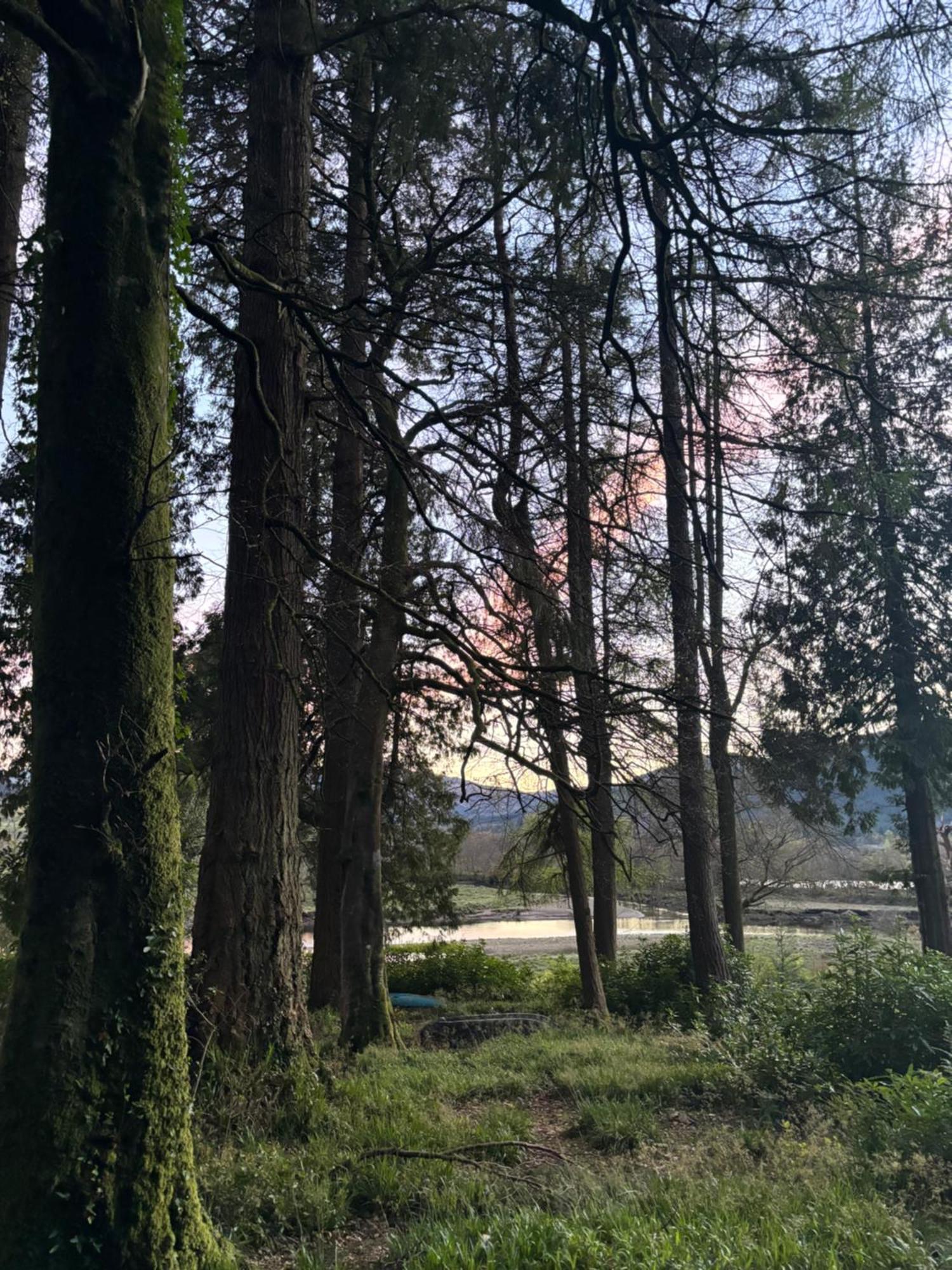 North Lodge Kilmun Bagian luar foto
