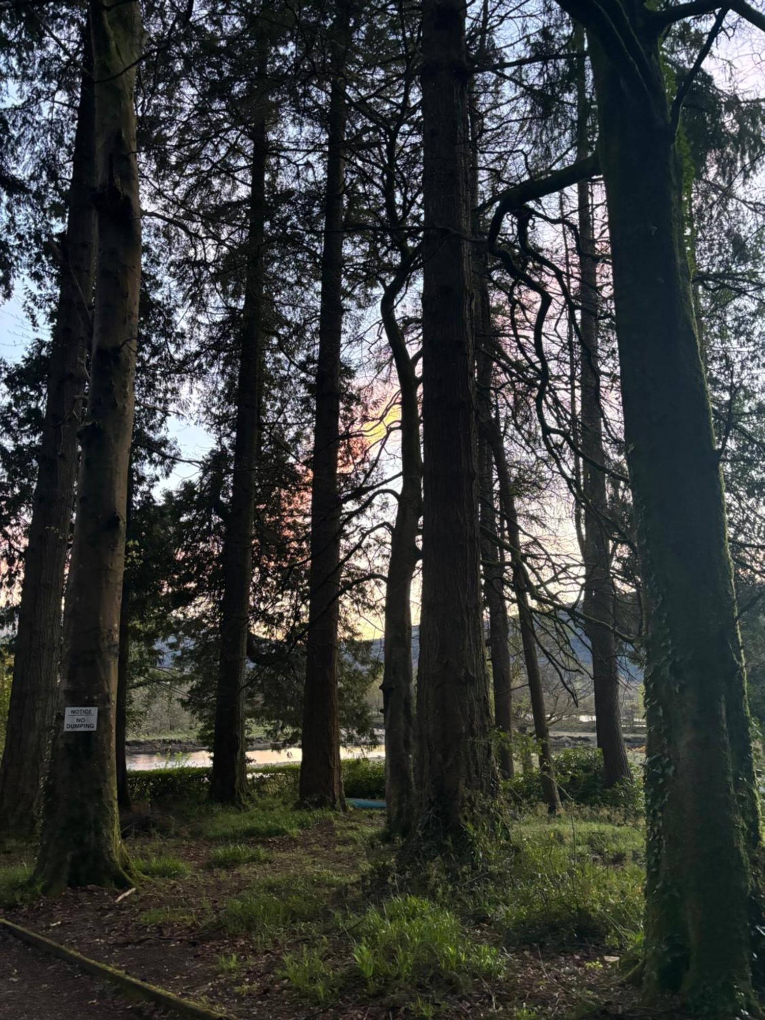 North Lodge Kilmun Bagian luar foto
